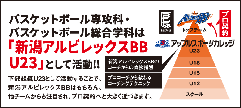 バスケットボール専攻科・バスケットボール総合学科は「新潟アルビレックスBB U23」として活動!!下部組織U23として活動することで、新潟アルビレックスBBはもちろん、他チームからも注目され、プロ契約へと大きく近づきます。