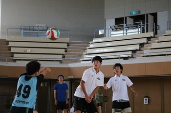 IMG_3143.jpg