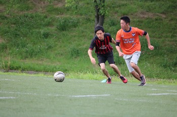 IMG_3378.jpg