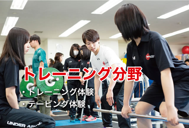 トレーナー分野