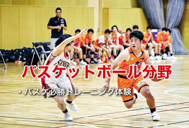 バスケット分野